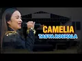 Download Lagu TERBARU || CAMELIA - TASYA ROSMALA || ARGATAWANG - TEGAL || OM ELLIPSEE
