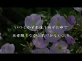 【歌詞付き】 ツキミソウ - Novelbright