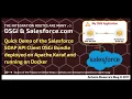 Apache Karaf Demo Salesforce Gogo Shell Command