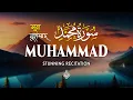 Surah Muhammad سورة محمد | A Whisper of Faith for the Quiet Heart | Al-Taqwa TV