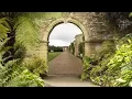 Angel Above Me - The Angels Sing | German Version + Lyrics - DJ Chris Bernard