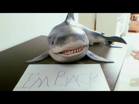 Download MP3 The Baby Shark is coming back! (O Tubarão Bebê está voltando ao canal :)