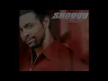 Shaggy Ft. Ricardo Rikrok Ducent - It Wasn't Me - (Vocal 12 Mix)