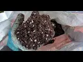 Potting Soil Review Black Gold Natural Organic Potting Soil vs Sta-Green Kellogg Dr Earth