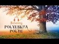 Download Lagu 90 dk ~ Relaxing, Uyku ve Kitap Okuma Müziği ~ Polyushka Polye