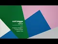 Carl Bagge - "Visitor" (Official Full Album Audio Video)