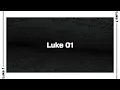 Luke 1 Bible Reading NIV