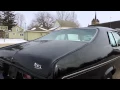 74 black nova walk around