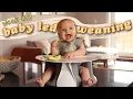 First Week of Baby Led Weaning at 6 Months Old BLW Tips Advice
