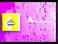 Joywave: We Are All We Need (Radio Edit)
