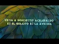 DJ Tao & Callejero Fino - CALLEJERO FINO DJ TAO Turreo Sessions #723 (Lyrics/Letra)