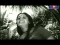Download Lagu Gopuramukalil Vaasantha Chandran - Vithukal