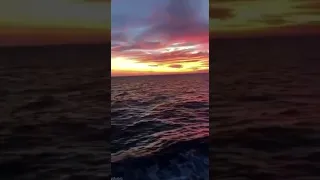 يوم ورا يوم حبيبي Superr حالة واتساب 