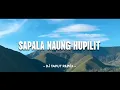 Download Lagu REMIX SAPALA NAUNG HUPILLIT - LAGU BATAK TIKTOK VIRAL (DJ Taput Remix)