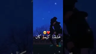 يالوكان يولو ليام 