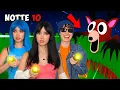 Download Lagu SOPRAVVIVI 99 NOTTI NELLA FORESTA NELLA VITA REALE - Episodio 2