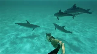 Swimming With The Spotted DOLPHIN of The Great Bahama Bank