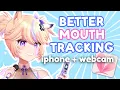 BETTER Mouth Tracking in VTube Studio iPhone 10 AND Webcam