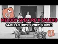 Download Lagu DJ MELODY SPECTRE X SALEHO GAMELAN UNYIL FVNKY SLOWED TERBARU VIRAL TIKTOK 2024