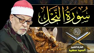 الشيخ السيد سعيد سورة النحل غادر الدنيا قليللا جودة عالية ᴴᴰ  الشيخ السيد سعيد سورة النحل غادر الدنيا قليللا جودة عالية ᴴᴰ