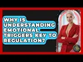 Why Is Understanding Emotional Triggers Key To Regulation - The Life Coach Expert