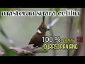 Download Lagu MASTERAN SUARA CELILIN 100℅ jernih joss ‼️ masteran andalan burung juara 🥇🏆