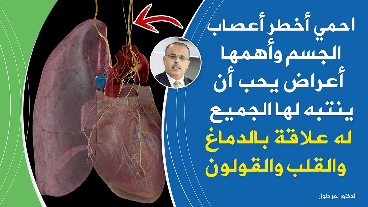 أقوي فيتامين لدعم أهم أعصاب فرصة حقيقية لعلاج ضعف الاعصاب في اليد القدم الظهر واعصاب المخ والقولون