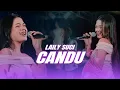 Lagu Laily Suci - Candu| Official Music Video