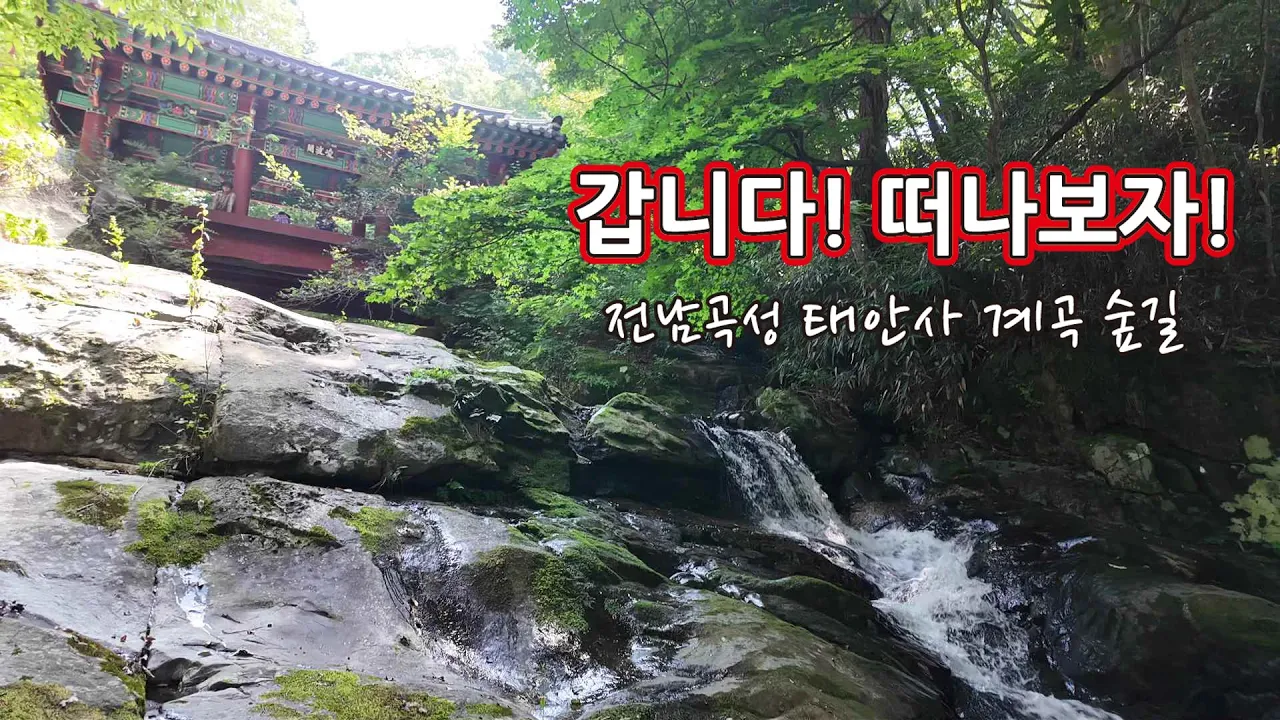 06 갑니다! 떠나보자! 곡성 태안사계곡 숲길 サムネイル