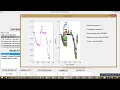 Only DG allocation Spider Monkey Optimization