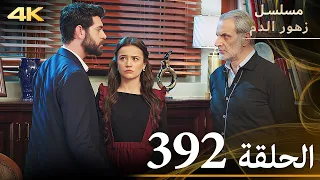 الحلقة 392 مسلسل زهور الدم مدبلج بالعربية Kan Çiçekleri جودة 4K 