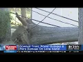 Tropical Storm Isaias Knocks Out Power For Thousands On Long Island