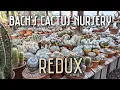 Bach s Cactus Nursery Plant Shopping Rare Specimen Greenhouse Tour Mini Plant Haul