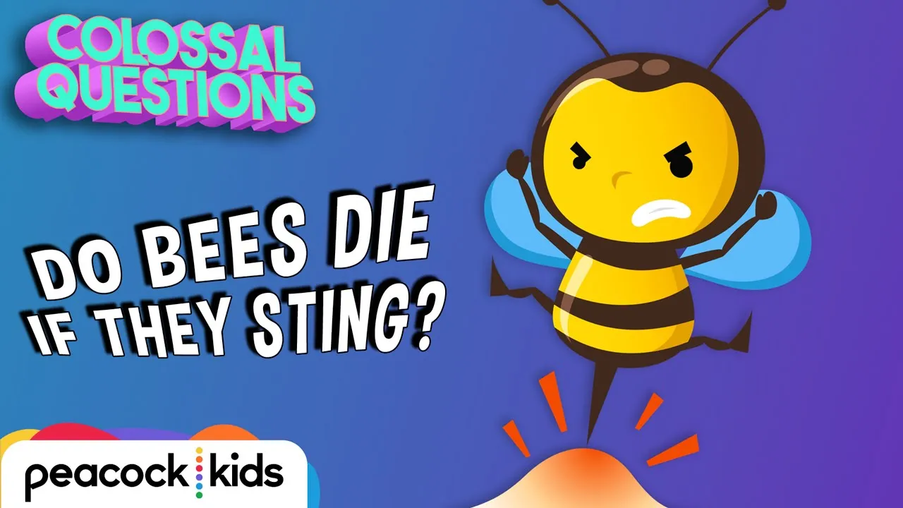 Why Do Bees Die After Stinging You? | COLOSSAL QUESTIONS