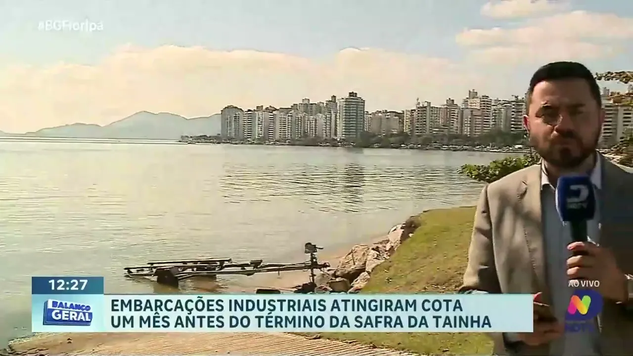 Pesca industrial da tainha atinge cota um mês antes do fim da safra