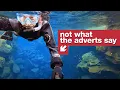 Swimming between two continents debunked
