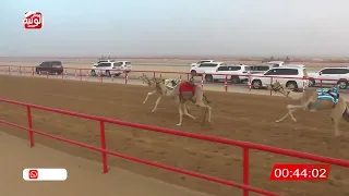 الشوط 9 مردف لـ حمد سالم بن سيف الدرعي 1 47 76 شارة الصندوق 2025 03 15 فطامين الرقيعات 