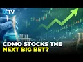 Pharma Stocks Rally After Earnings Where Is The Value Across CDMO And Healthcare