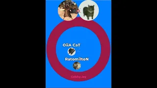 Dancing Rat Vs Oiia Cat  Dancing Rat Vs Oiia Cat