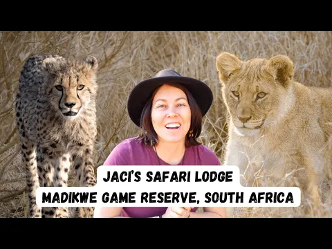 Download MP3 SLEEPING UNDER THE STARS IN AFRICA! Jaci's Lodge Review, Madikwe Game Reserve South Africa