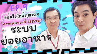 ลำไส้เล็กมีบทบาทอย่างไรในการดูดซึมสารอาหาร