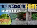 North Carolina Hunting Best Places to Hunt and Expert Tips on Hunting Land