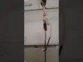 Download Lagu Hospitalised - Whatsapp sad status love status #shorts #youtubeshorts