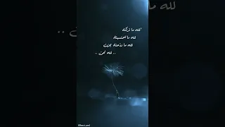 و أ ن ل ي س ل ل إ نس ان إ ل ا م ا س ع ى القارئ أحمد خضر 