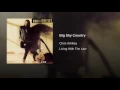 Big Sky Country - Chris Whitley