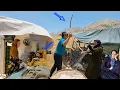 Download Lagu Insulting the Father: Leila, Amir, and a Night of Rage in the Mountains!