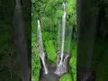 Download Lagu Sekumpul is the highest waterfall in Bali, Indonesia