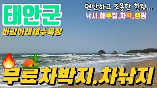 광어 도다리 개조개 잡을 수 있다는 유명한 태안 바람아래 해수욕장 무료차박지 #해루질 #차박 #캠핑 #낚시 썸네일