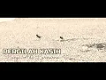 Download Lagu Kun Panji - Pergilah kasih versi koplo blaktuk