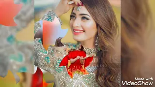 البينت بيضا     حميد الشاعري دندنها